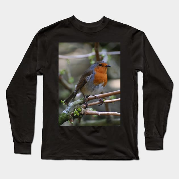 Robin Red Long Sleeve T-Shirt by declancarr